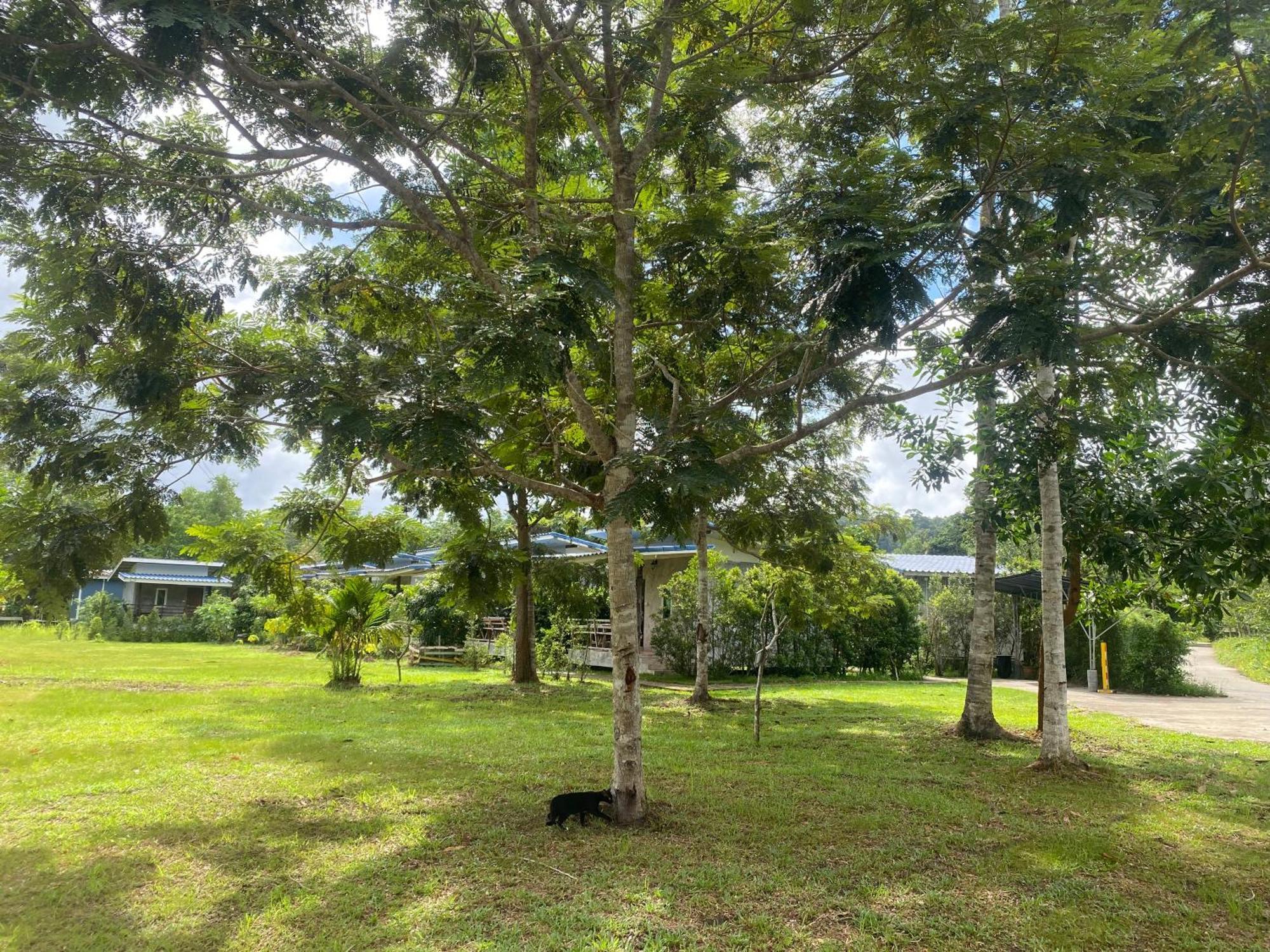 Pd Guesthouse Ko Kut المظهر الخارجي الصورة