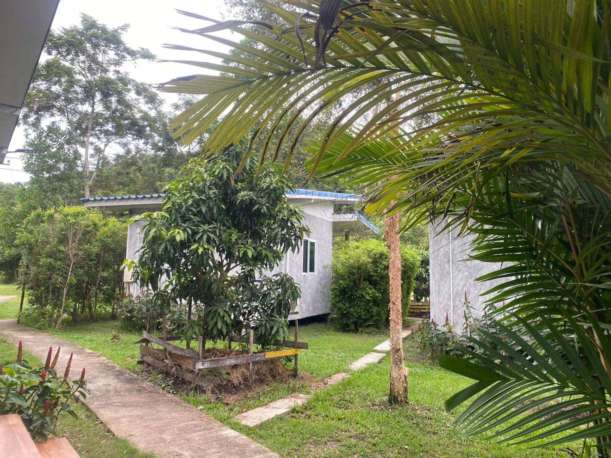 Pd Guesthouse Ko Kut المظهر الخارجي الصورة